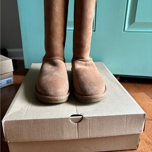 New Tall Chestnut Brown Uggs : Women size 8